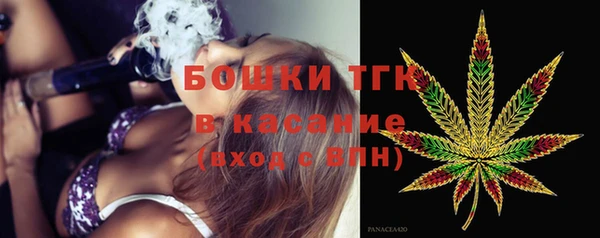 индика Пестово