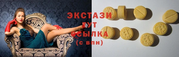 индика Пестово