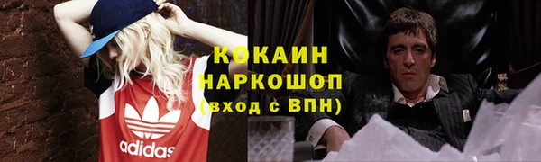индика Пестово