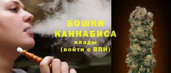 дмт Осташков