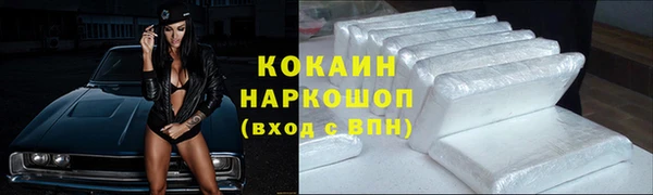индика Пестово