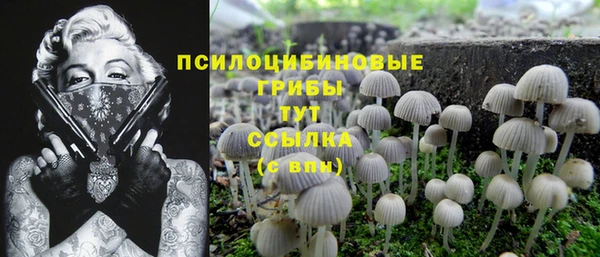 трава Ханты-Мансийск