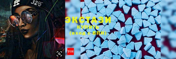 ECSTASY Пересвет