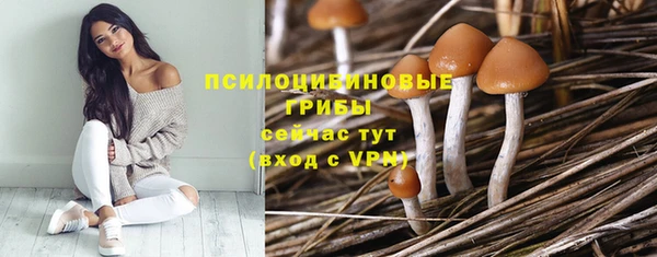 MESCALINE Осинники