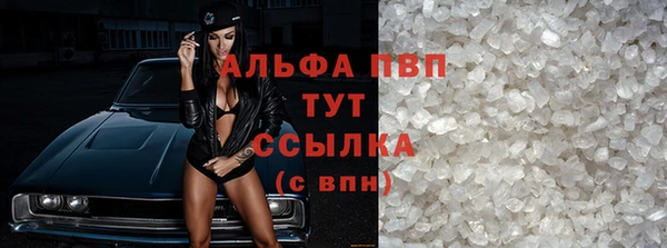 ECSTASY Пересвет