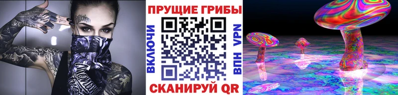 магазин  наркотиков  Абдулино  блэк спрут tor  Галлюциногенные грибы мухоморы 